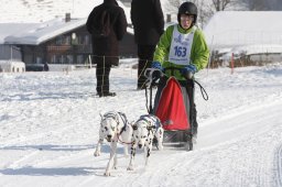 Lenk 2012 SM